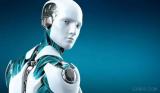 通用人形机器人将成为2025年的现实